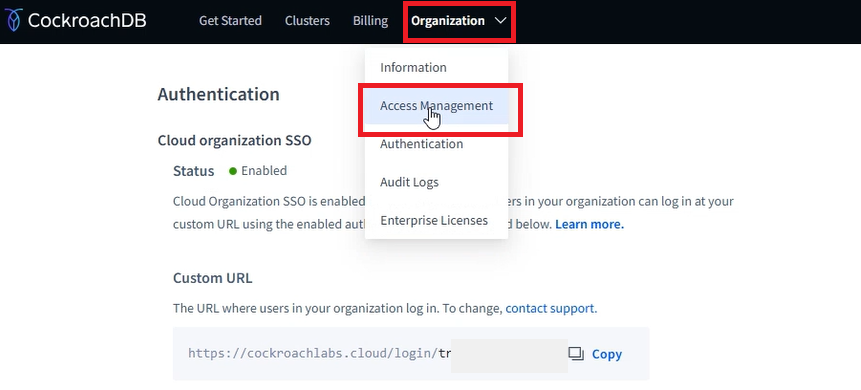 CockroachDB Cloud_ID_07.png