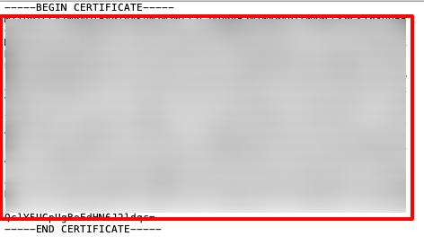 06.png